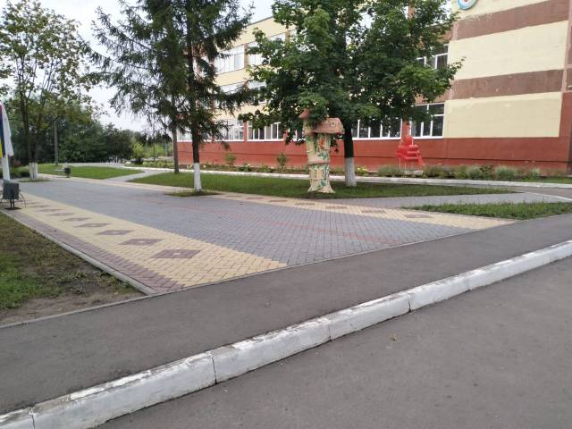 foto2